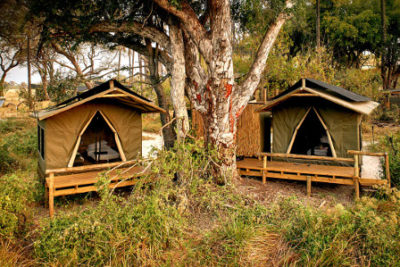deux tentes du Oddballs Camp et leur terrasse en bois, delta de l'Okavango, Botswana