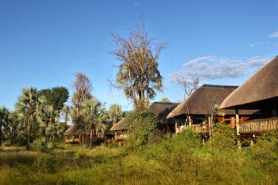 moremi crossing