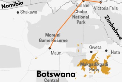 Voyage Safari au Botswana en immersion