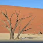 Circuit 4x4 safari lodges parc namib deadvlei