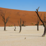 deadvlei sossusvlei Voyage Namibie