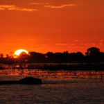 Hippopotame face au coucher du soleil voyage Namibie autotour sur mesure 