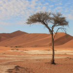 dunes sossusvlei voyage namibie