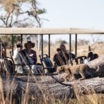 bébé léopard lors d'un safari 4x4 Pom Pom Camp, Okavango, voyage Botswana