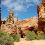 Randonnée dans la région du Cederberg