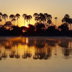 Croisière en bateau sur le Zambèze au coucher du soleil
