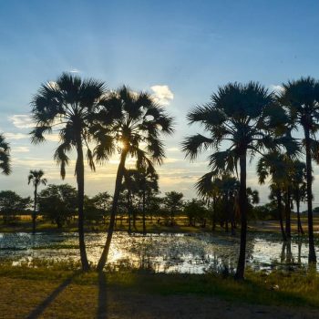 13803010145_629147f346_b