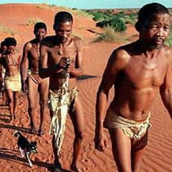 Bushmen marchant sur une dune de sable rouge du désert du Kalahari en Namibie