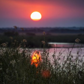 2000x1300q70Hakusembe-Gardens-Outside-0733