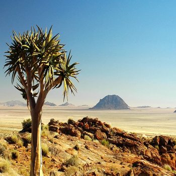 2000x1300q70aus_view(2) (1)