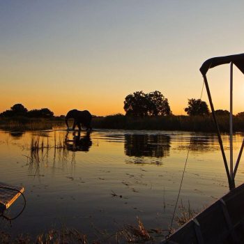 Camp-Okavango-Boat-Safari(1)_preview