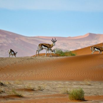namibie_itineraire