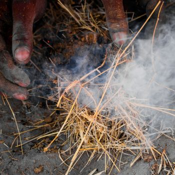 bushman_fire