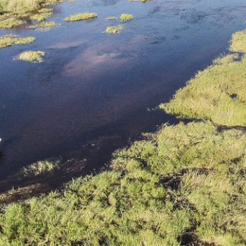 bateau à moteur dans un chenal du delta de l'Okavango au Botswana